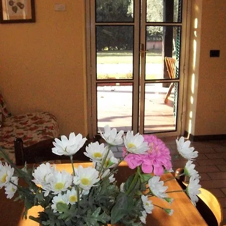 Agriturismo L'ulivo *