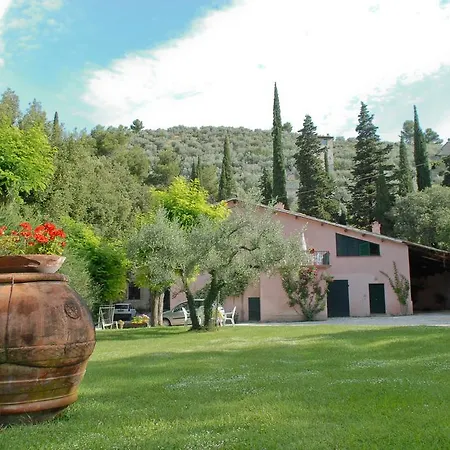 Agriturismo L'ulivo