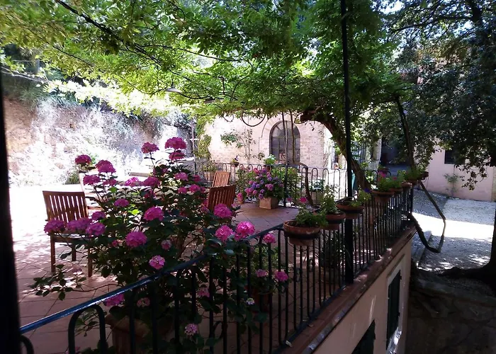 Farm stay Agriturismo L'ulivo *